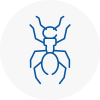 Ant Removals In Bangor Gwynedd