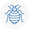 Bed Bug Extermination In Bangor Gwynedd