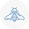 Bee Nest Removal Bangor Gwynedd