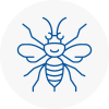 Bangor Gwynedd Hornet Nest Removals