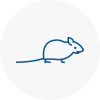 Mice Exterminators In Bangor Gwynedd