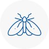Moth Control Specialists In Bangor Gwynedd